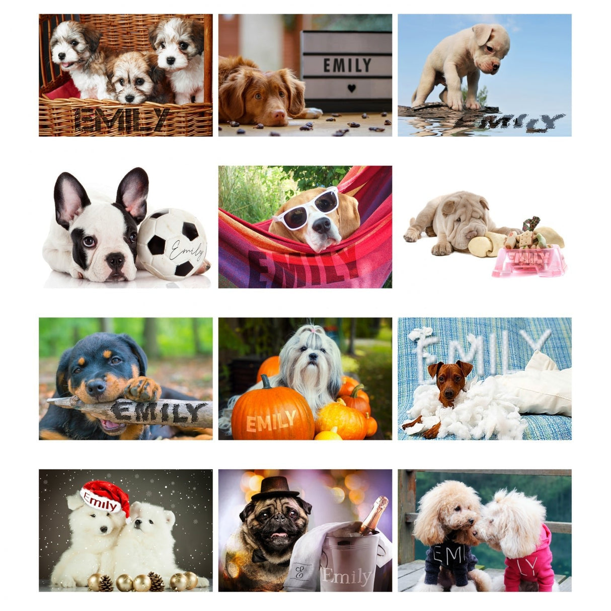 Personalised A4 Barking Mad Calendar - Shop Calendars & Planners At Gift Moments - 6