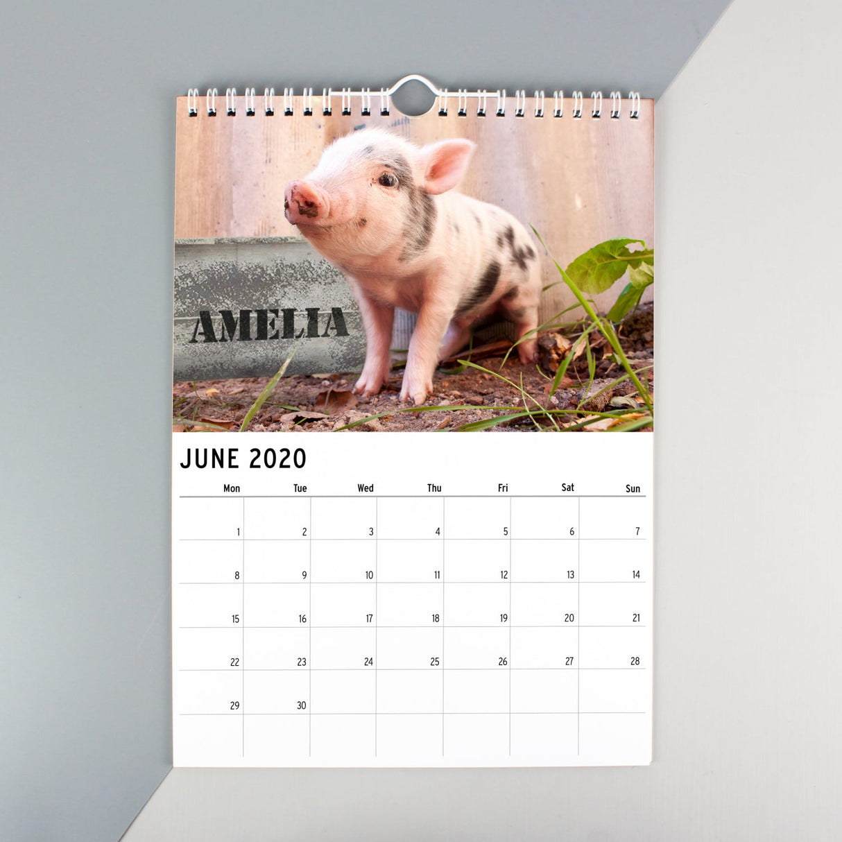 Personalised A4 Cute Animals Calendar: 2 - Calendars & Planners By Gift Moments