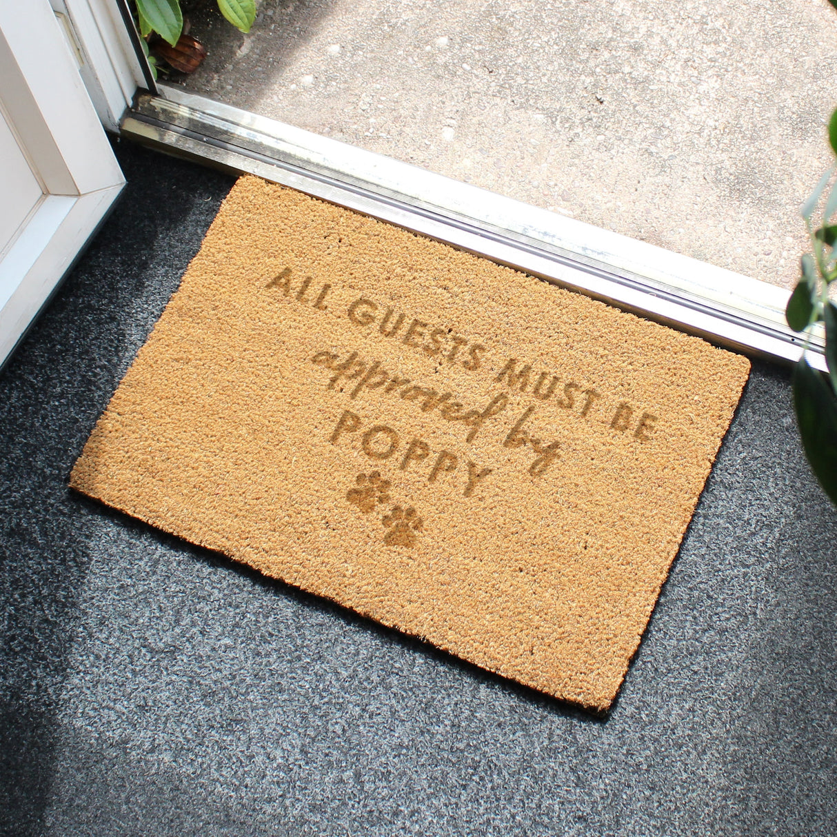 Personalised Approved By The Pet Rectangle Indoor Doormat: 3 - Doormats By Gift Moments