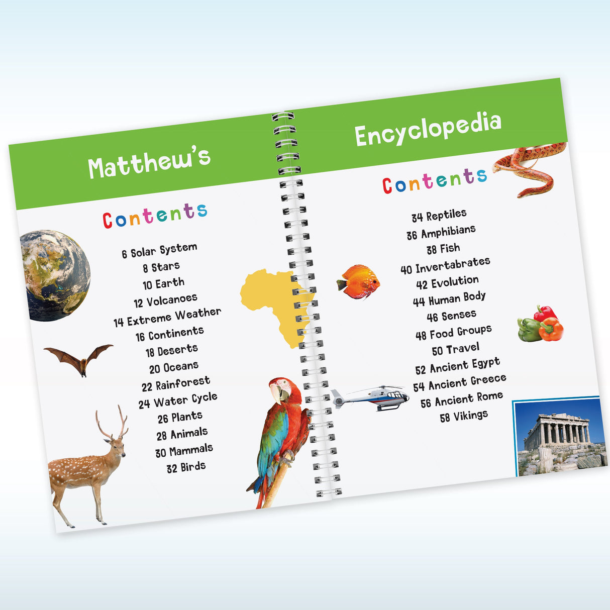 Personalised Childrens Encyclopedia: 4 - Books By Gift Moments