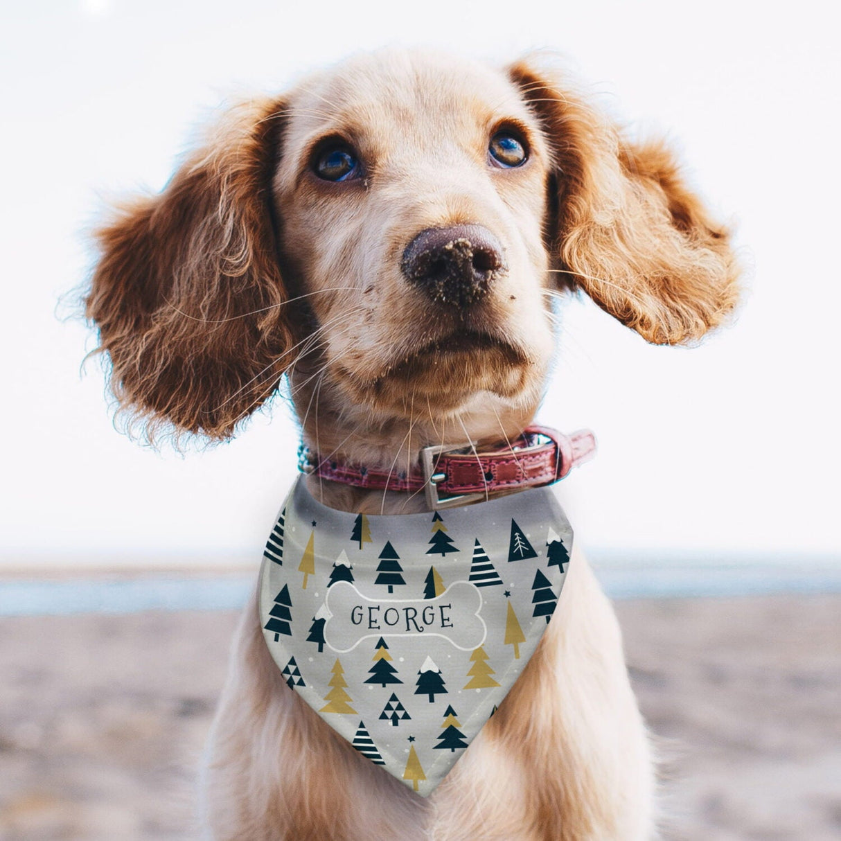 Personalised Christmas Tree Dog Bandana - Shop Pet Products At Gift Moments - 1