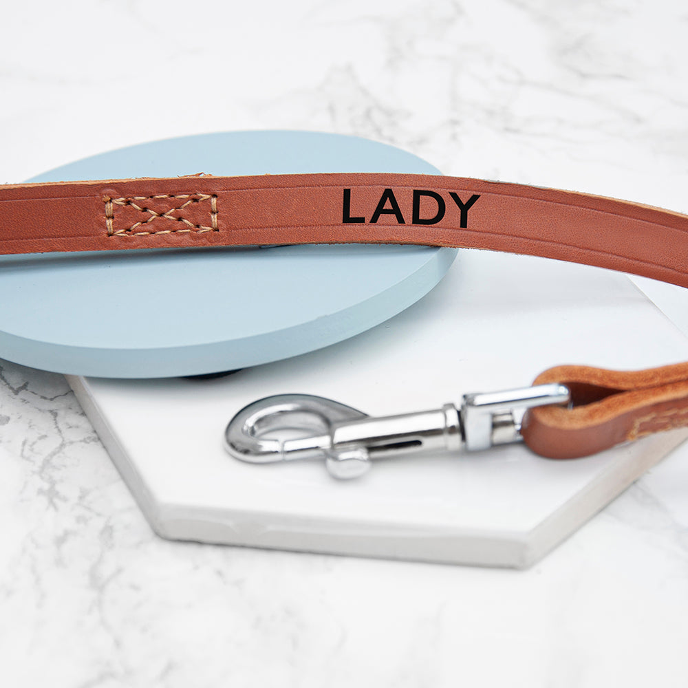 Personalised Classic Brown Leather Dog Leads - Shop Pet Products At Gift Moments - 1