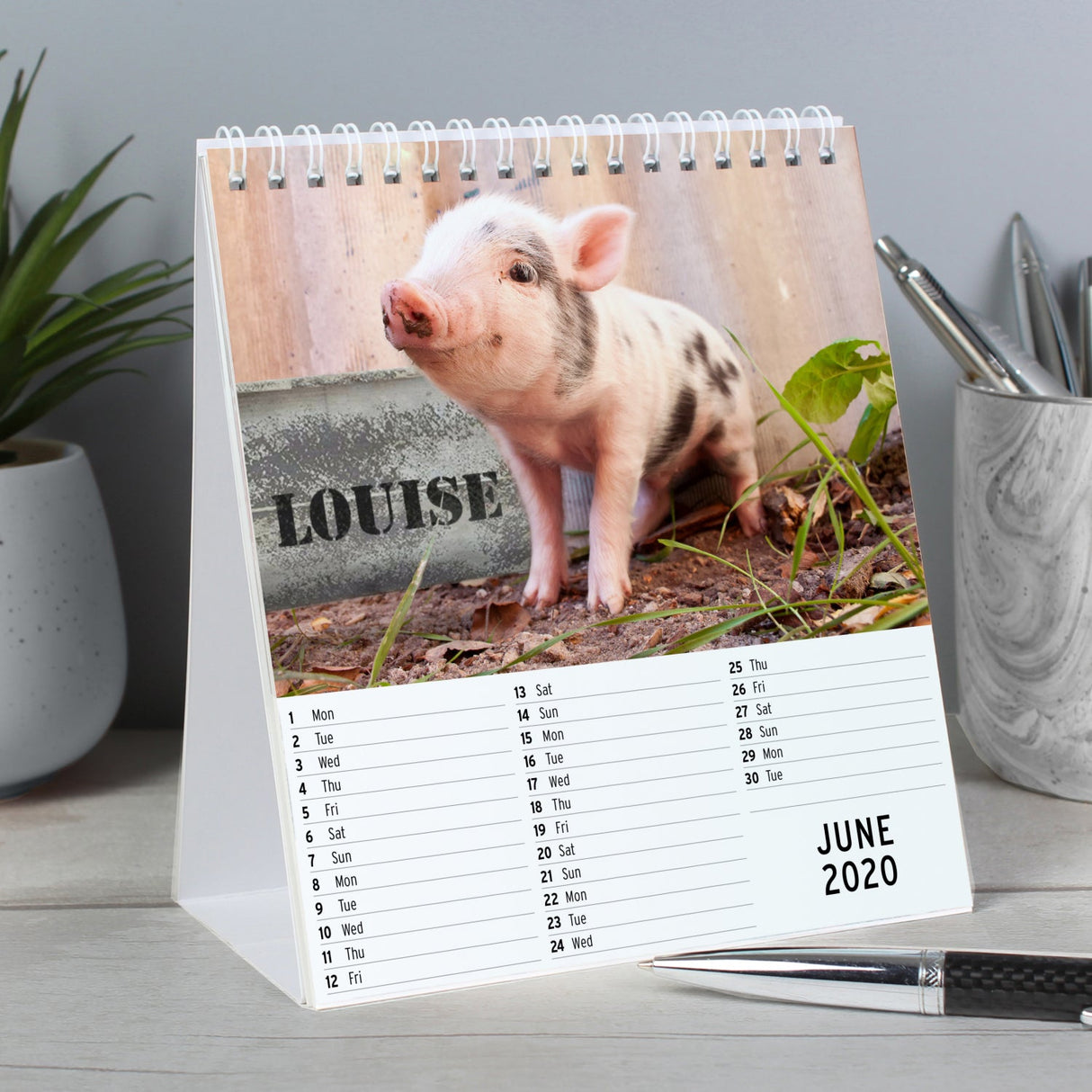 Personalised Cute Animals Desk Calendar: 2 - Calendars & Planners By Gift Moments