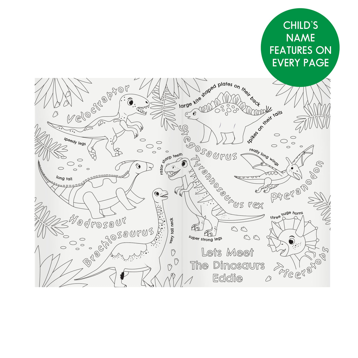 Personalised Dinosaur Colouring Book: 6 - Books By Gift Moments