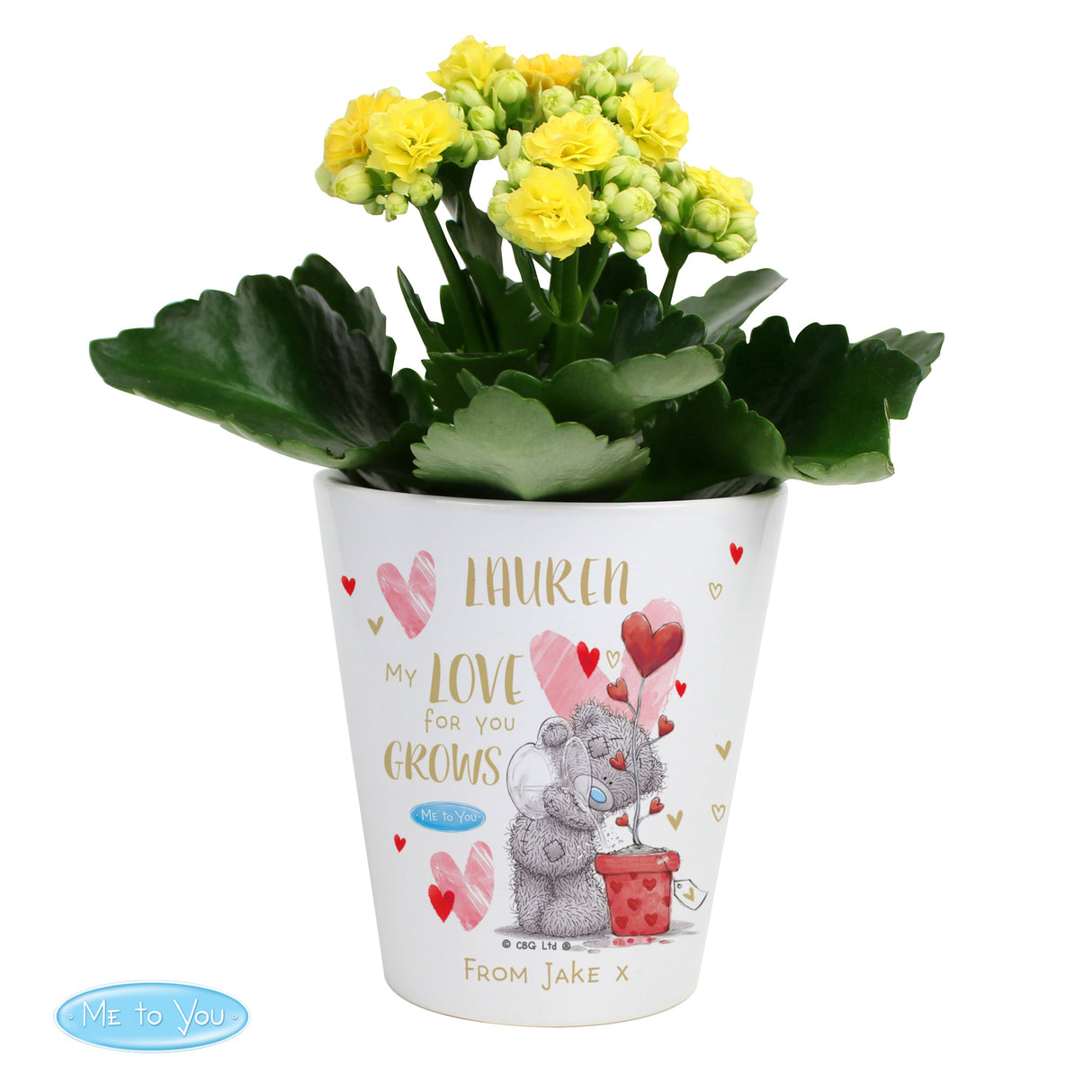 Personalised Me To You Love Grows Plant Pot - Shop Pots & Planters At Gift Moments - 4