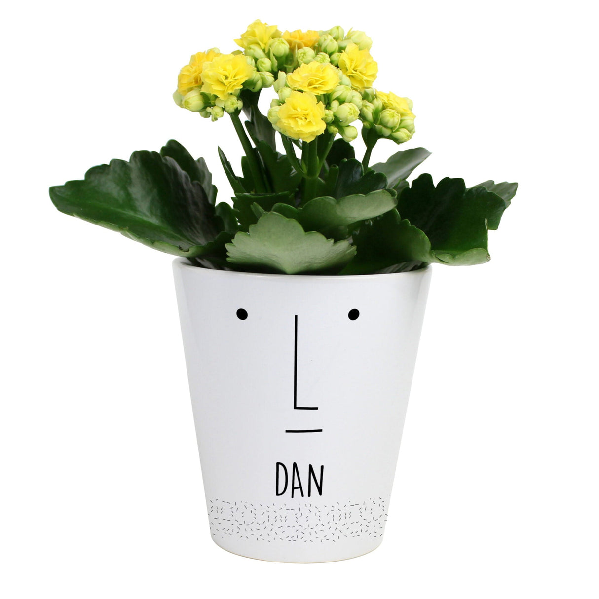 Personalised ’Mr Face’ Plant Pot: 4 - Pots & Planters By Gift Moments