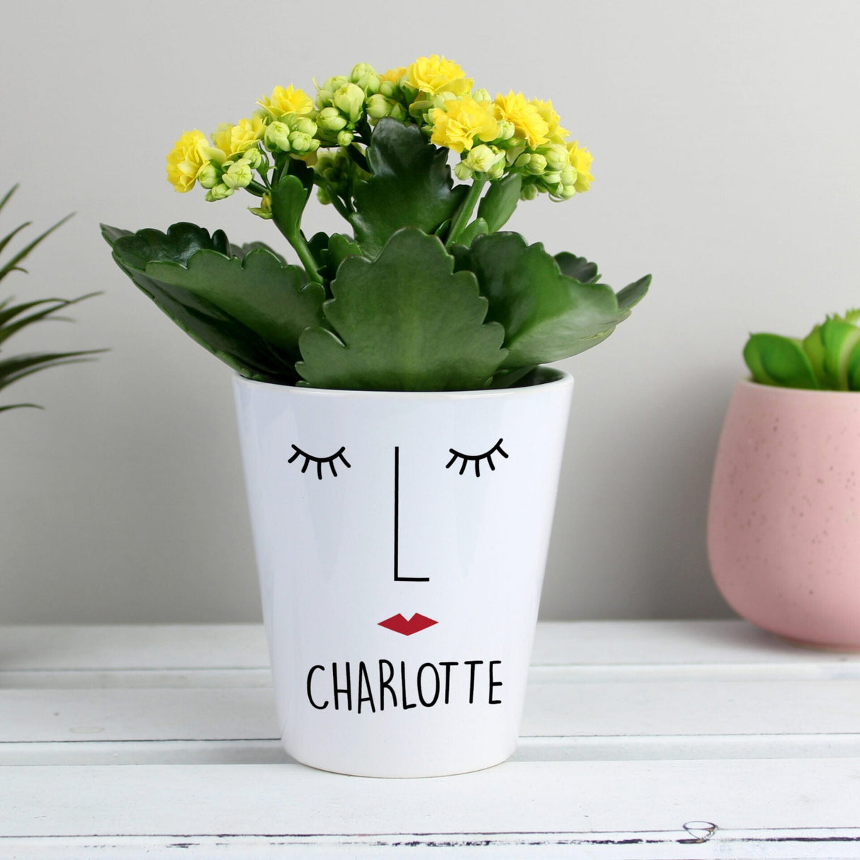 Personalised ’Mrs Face’ Plant Pot - Shop Pots & Planters At Gift Moments - 1