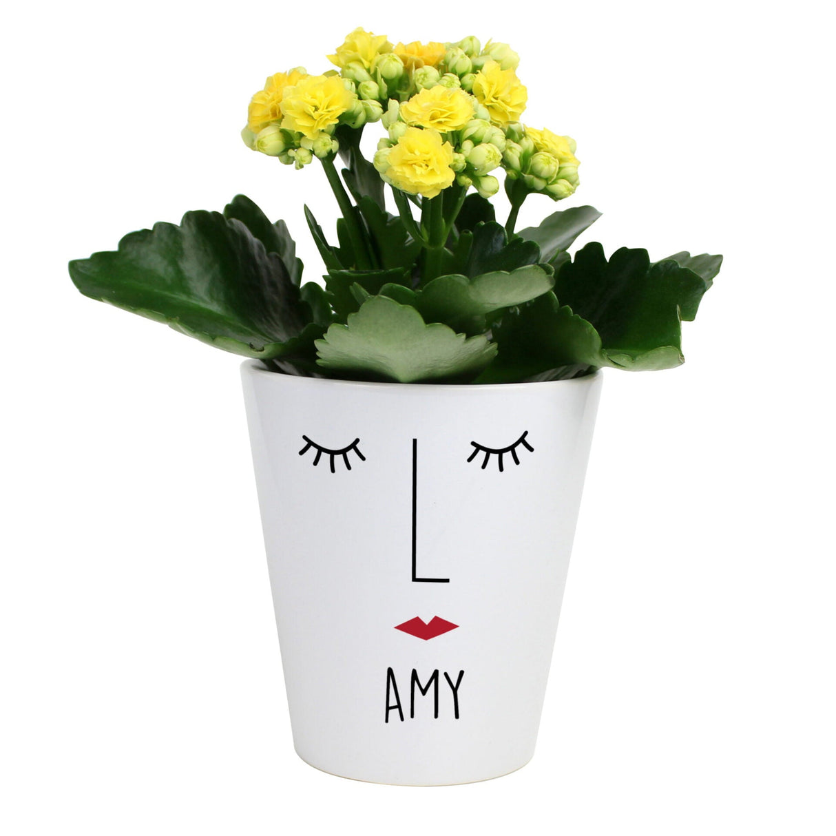 Personalised ’Mrs Face’ Plant Pot - Shop Pots & Planters At Gift Moments - 4