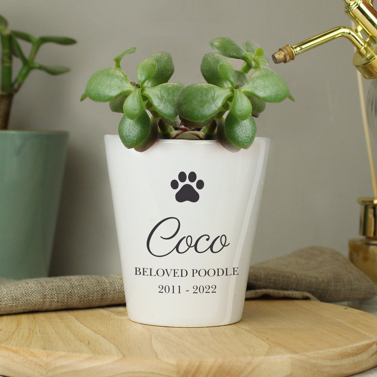 Personalised Paw Print Plant Pot: 2 - Pots & Planters By Gift Moments