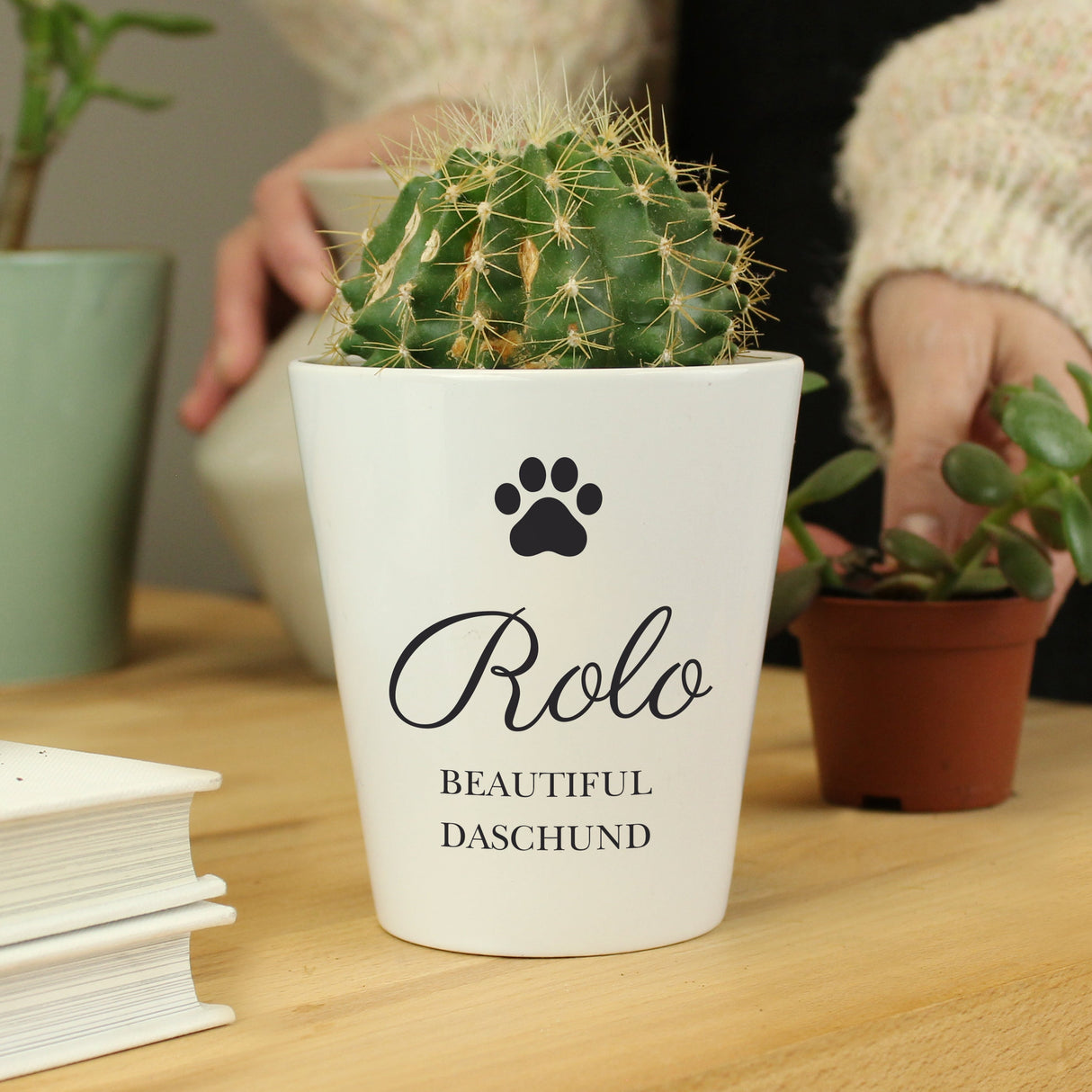 Personalised Paw Print Plant Pot: 1 - Pots & Planters By Gift Moments