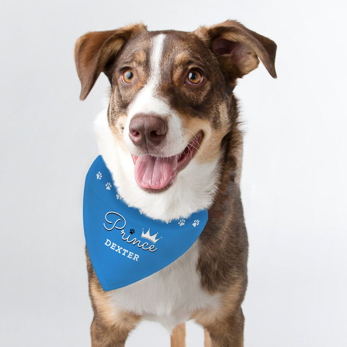 Personalised Prince Dog Bandana - Shop Pet Products At Gift Moments - 2