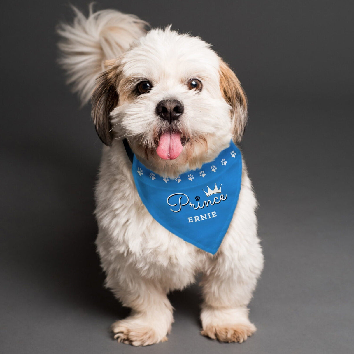 Personalised Prince Dog Bandana - Shop Pet Products At Gift Moments - 1
