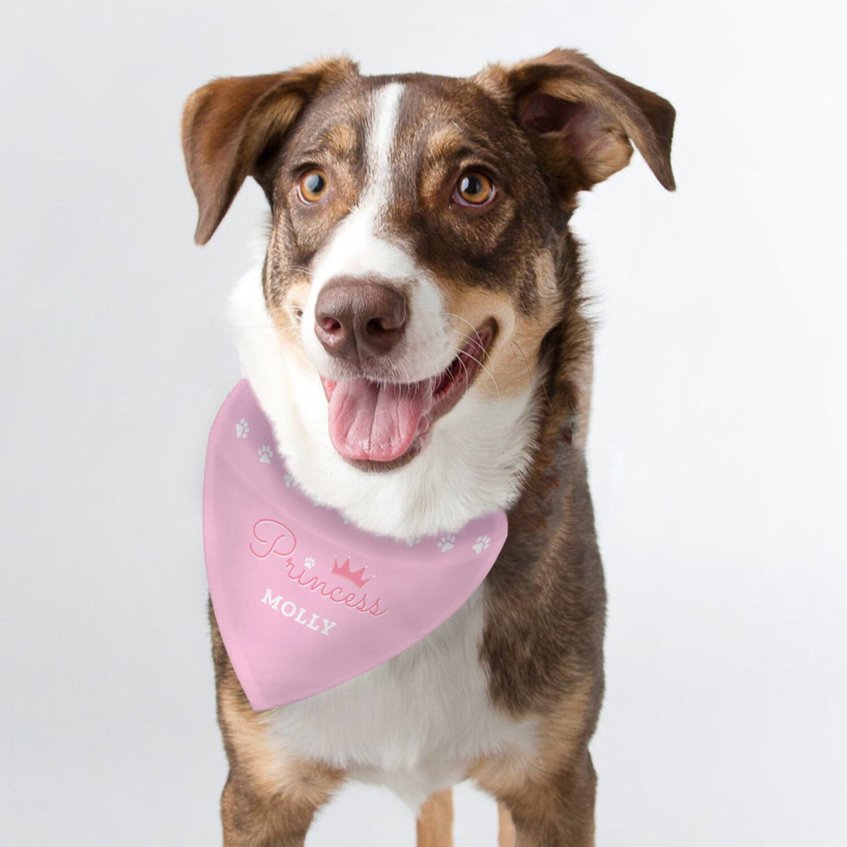 Personalised Princess Dog Bandana - Shop Pet Products At Gift Moments - 2