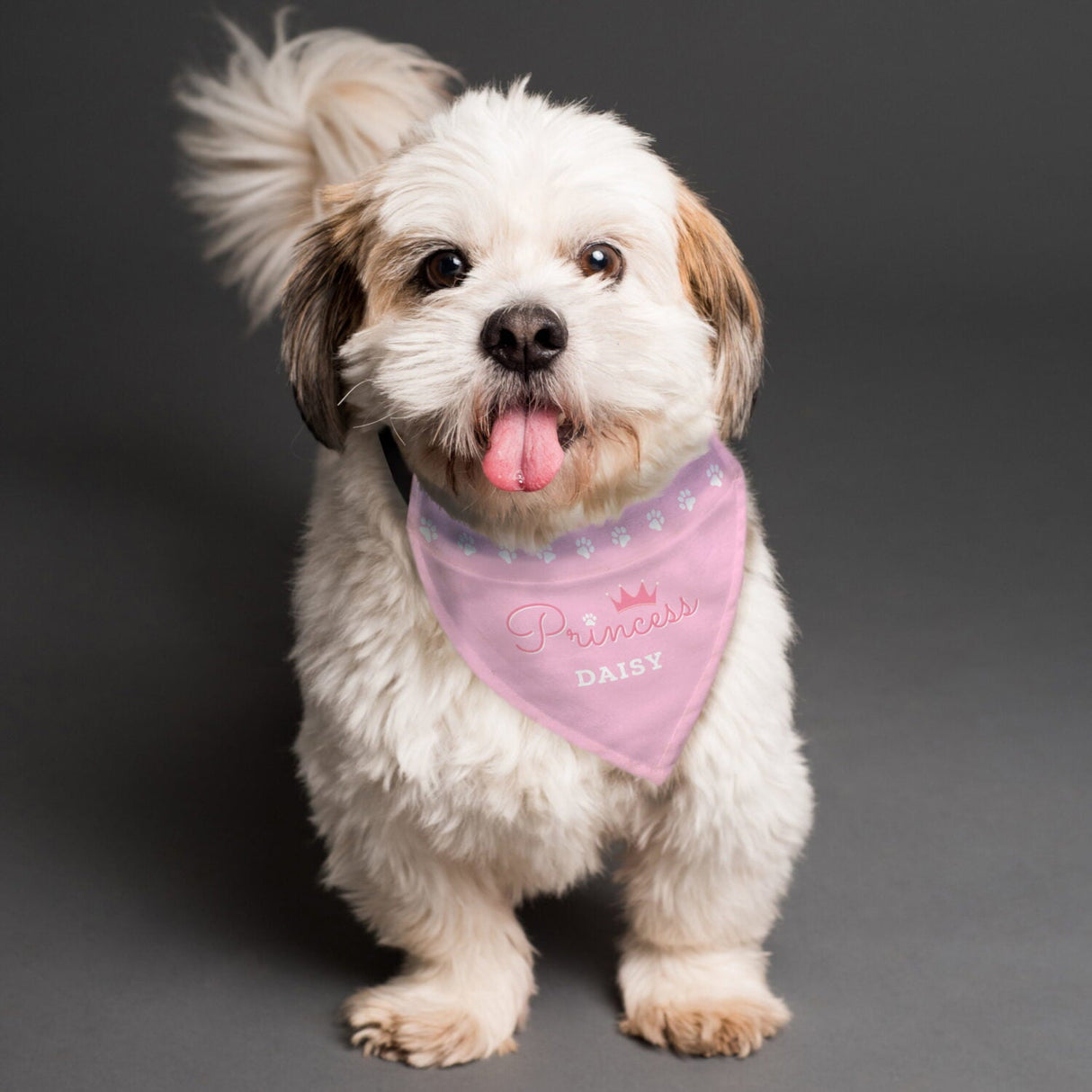 Personalised Princess Dog Bandana - Shop Pet Products At Gift Moments - 3