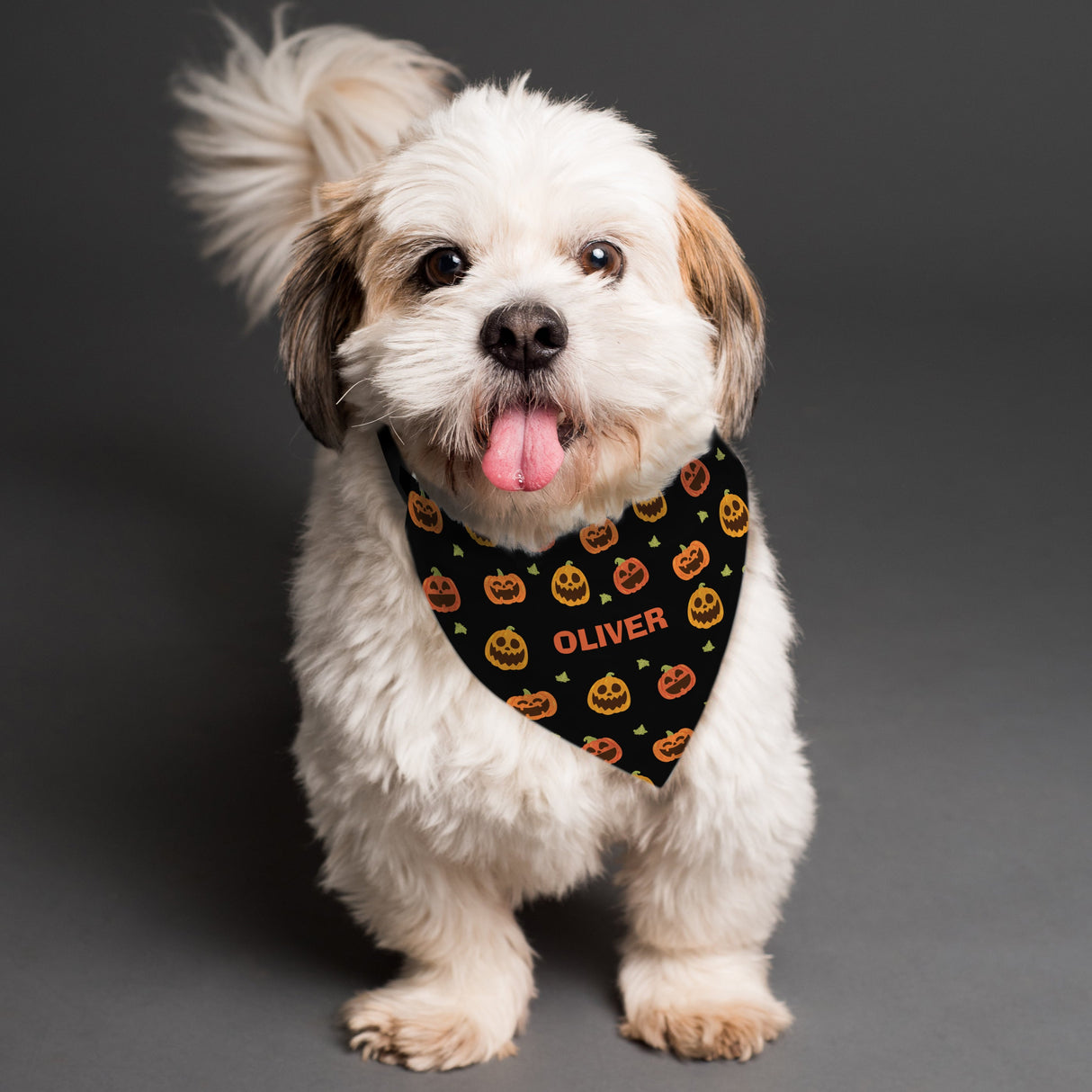Personalised Pumpkin Patch Dog Bandana - Shop Pet Products At Gift Moments - 1
