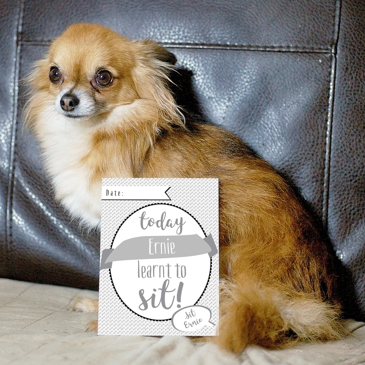 Personalised Puppy Cards: For Milestone Moments: 4 - Keepsakes By Gift Moments