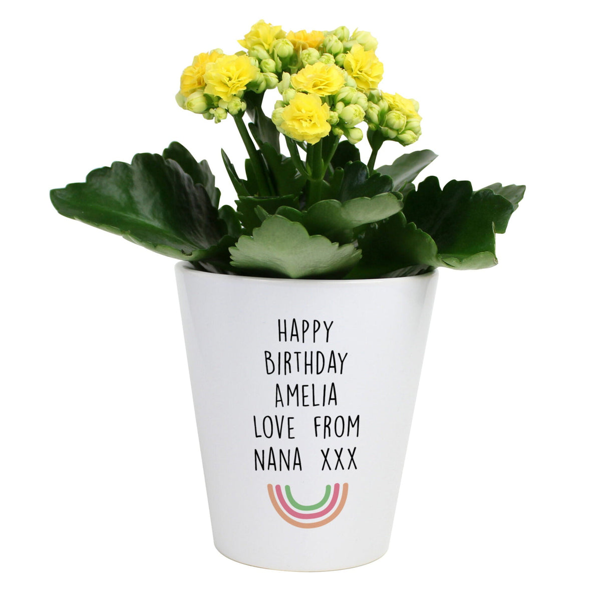Personalised Rainbow Plant Pot: 4 - Pots & Planters By Gift Moments