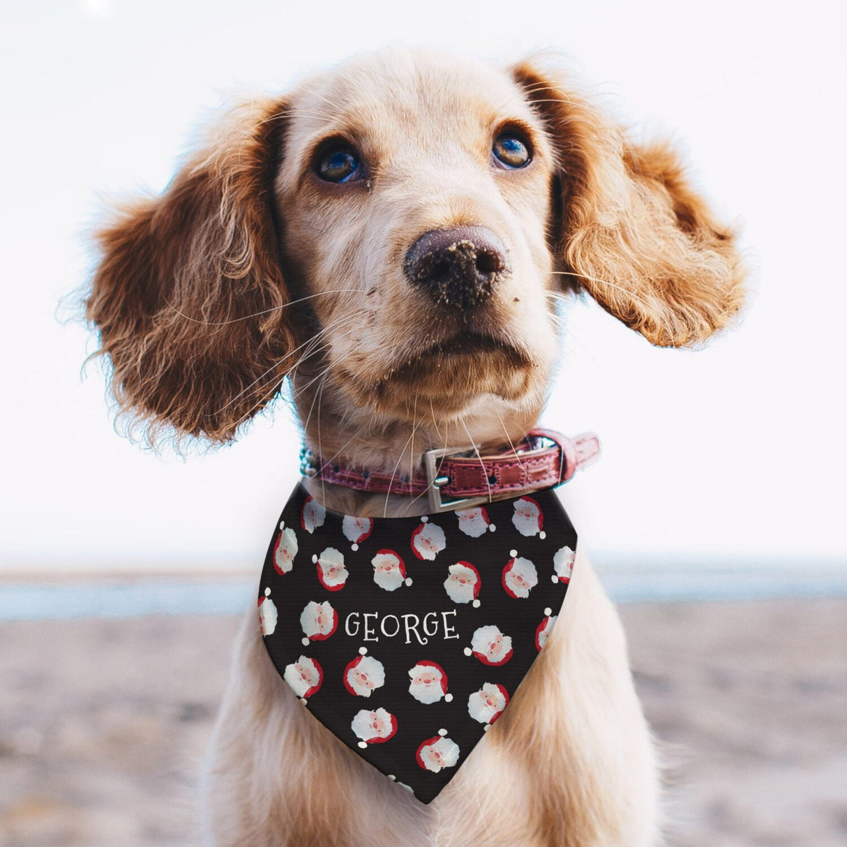 Personalised Santa Black Dog Bandana - Shop Pet Products At Gift Moments - 1