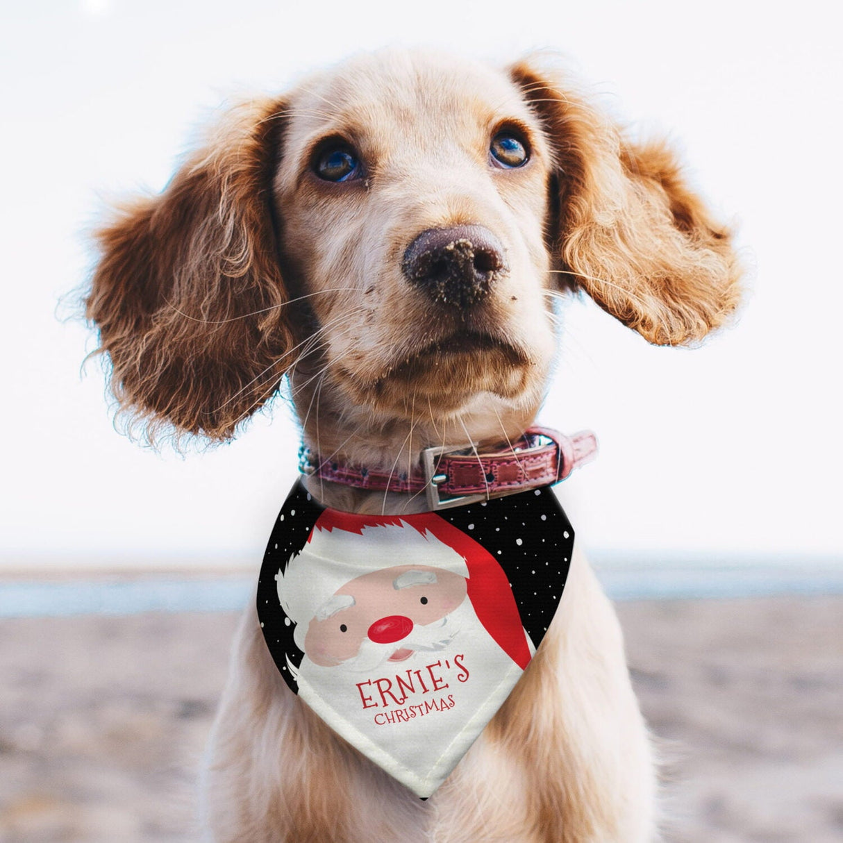 Personalised Santa Dog Bandana - Shop Pet Products At Gift Moments - 1
