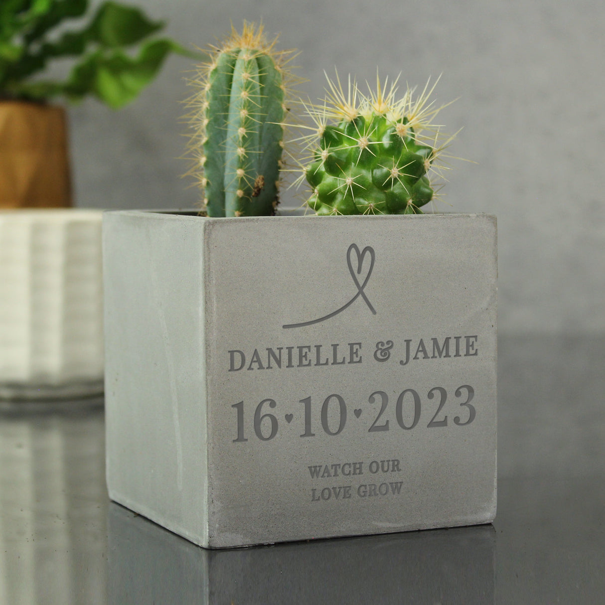 Personalised Special Date Concrete Plant Pot: 4 - Pots & Planters By Gift Moments