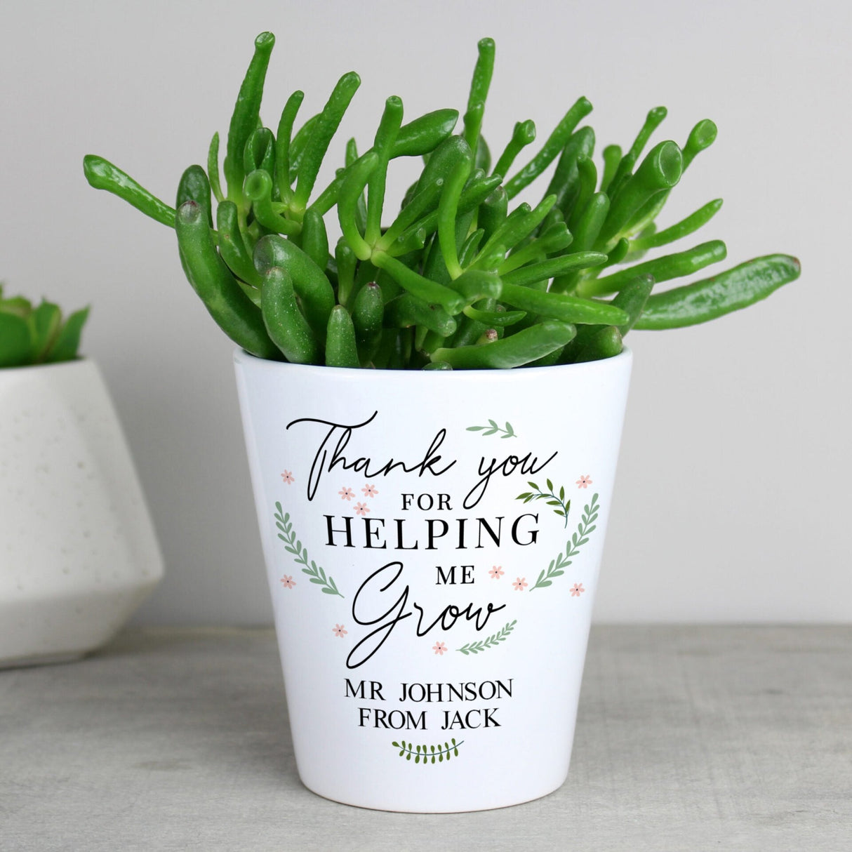 Personalised Thank You For Helping Me Grow Plant Pot: 1 - Pots & Planters By Gift Moments