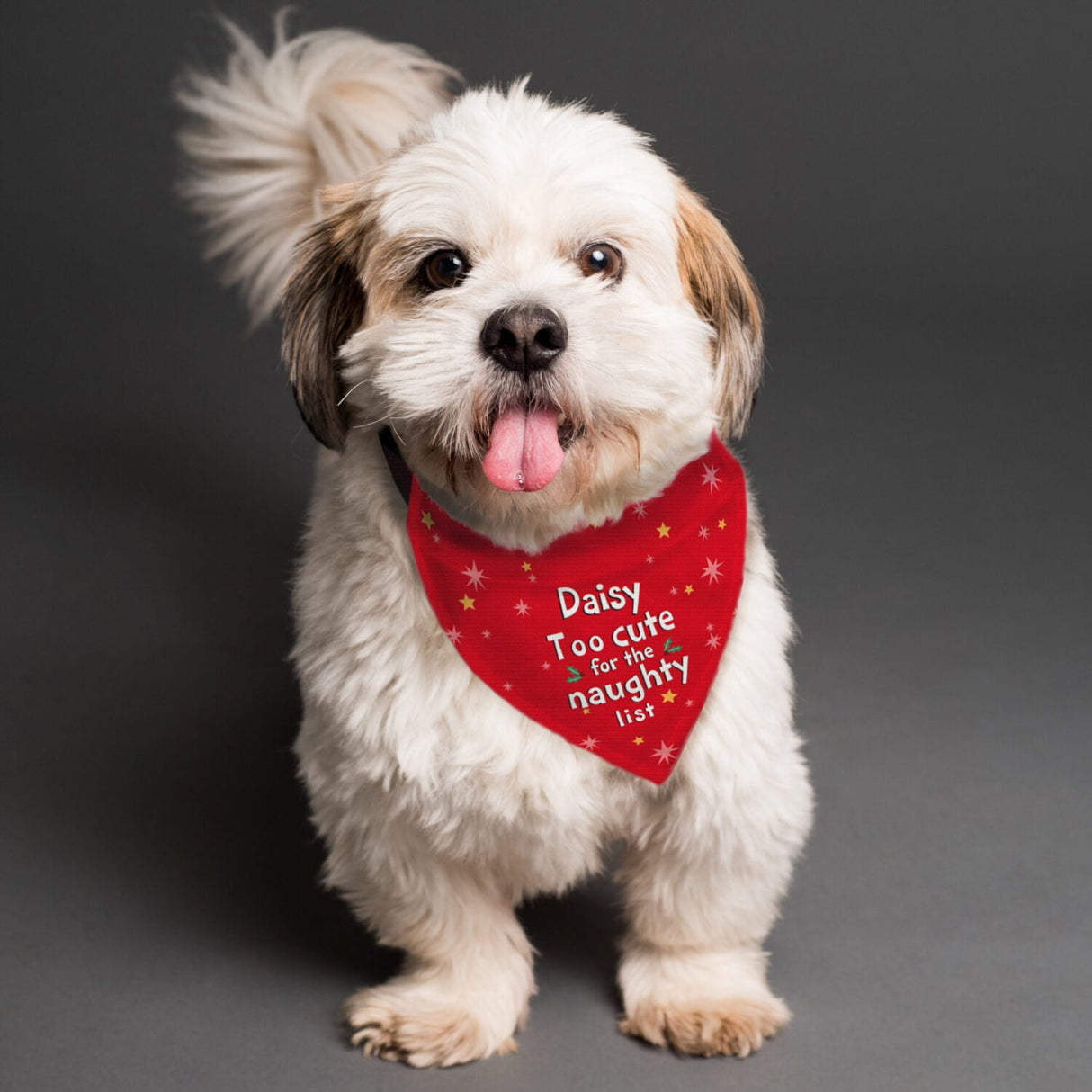 Personalised ’Too cute for the naughty list’ Dog Bandana: 3 - Pet Products By Gift Moments
