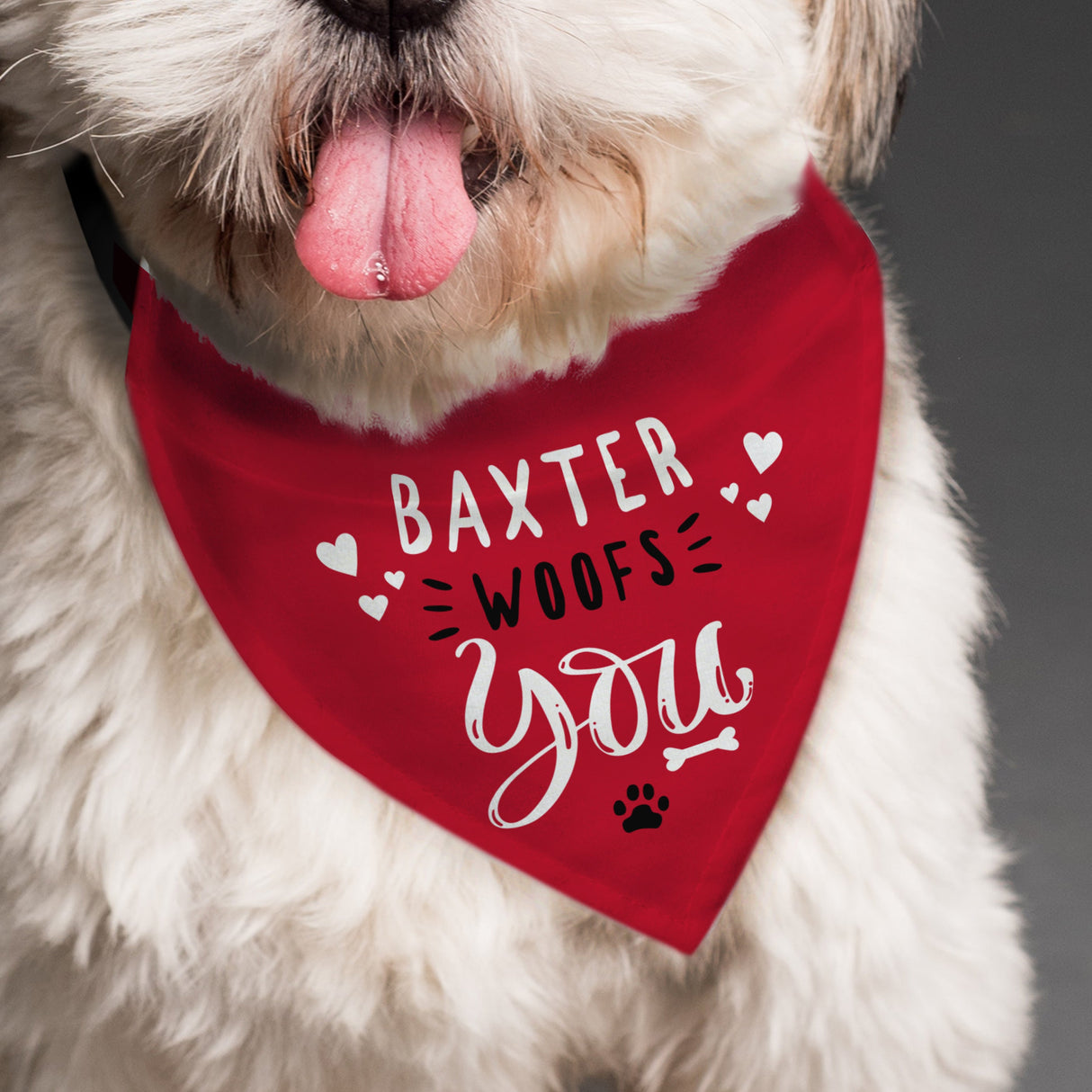 Personalised Woofs You Dog Bandana - Shop Pet Products At Gift Moments - 4