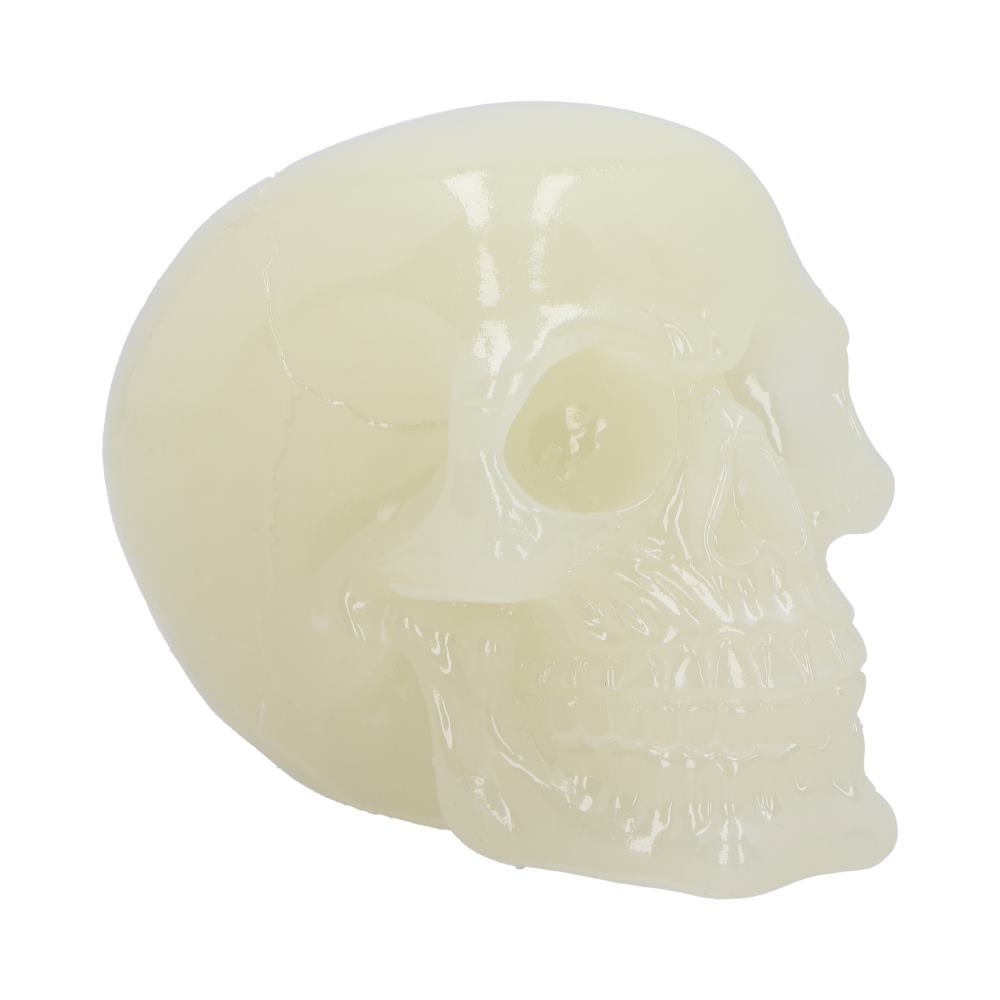 Phosphorescent Glow in the Dark Skull: 2 - Figures & Collectables By Gift Moments