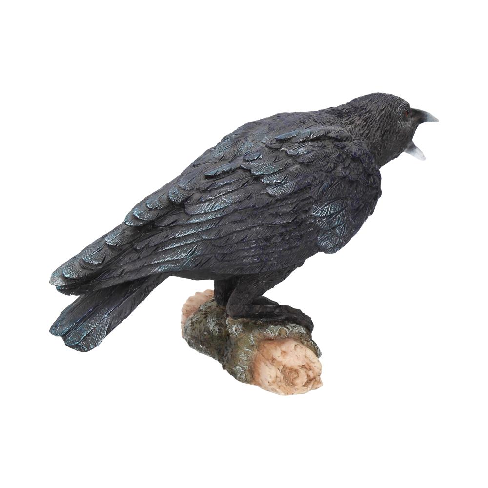 Raven’s Call Figurine Gothic Bird Ornament - Shop Figurines Medium (15-29cm) At Gift Moments - 5