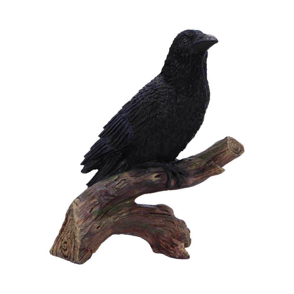 Ravens Perch Resin Figurine: 2 - Figurines Medium (15-29cm) By Gift Moments