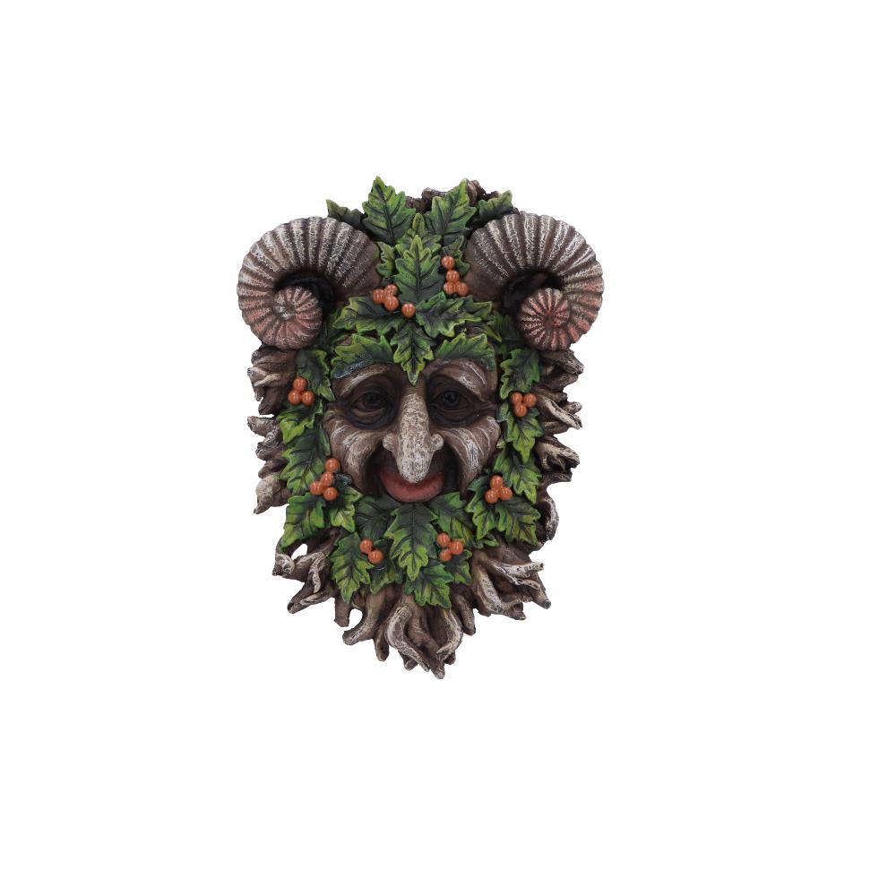Rawan Wall Mounted Tree Spirit 21.3cm: 2 - Wall Hanging Sculptures By Gift Moments