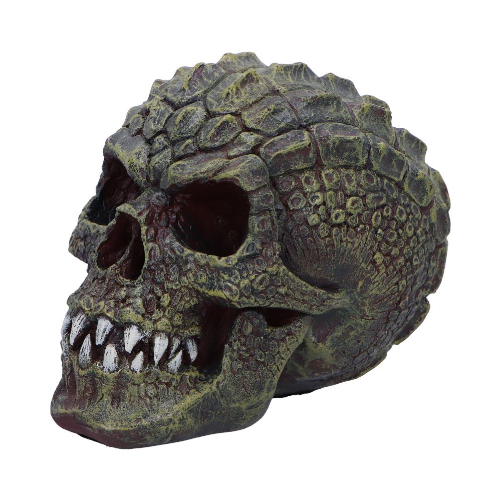Reptillian Scale Skull 17cm: 3 - Figures & Collectables By Gift Moments
