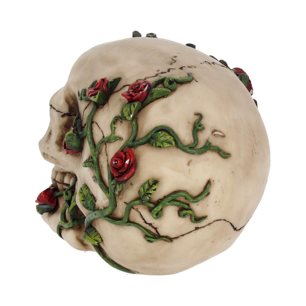 Rose From Beyond Gothic Rose Vine Covered Skull Figurine: 5 - Figurines Medium (15-29cm) By NN Designs