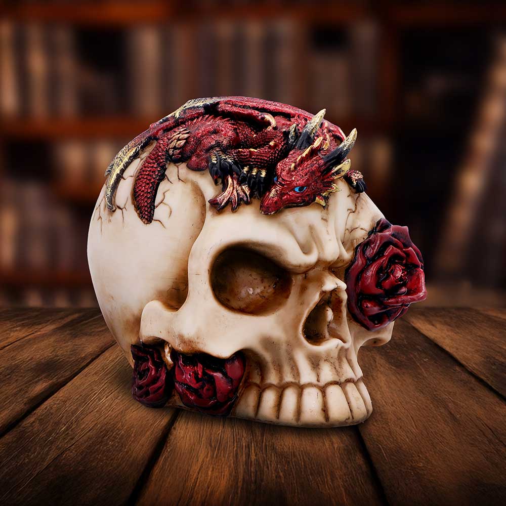 Rose Flame Decorative Skull With Sleeping Dragon: 1 - Figurines Medium (15-29cm) By NN Designs