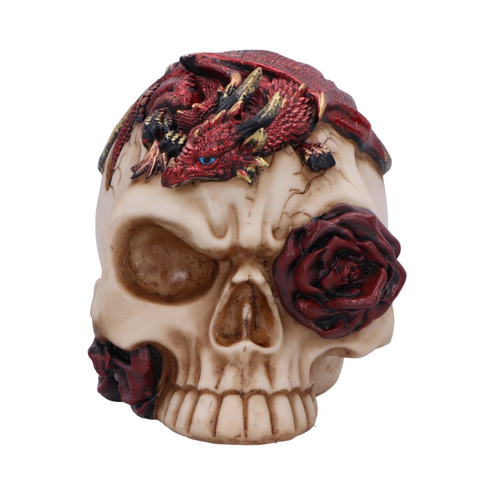 Rose Flame Decorative Skull With Sleeping Dragon: 3 - Figurines Medium (15-29cm) By NN Designs