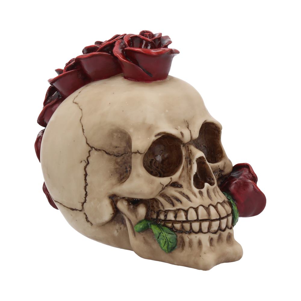 Rosehawk Skull 16cm: 2 - Figures & Collectables By Gift Moments