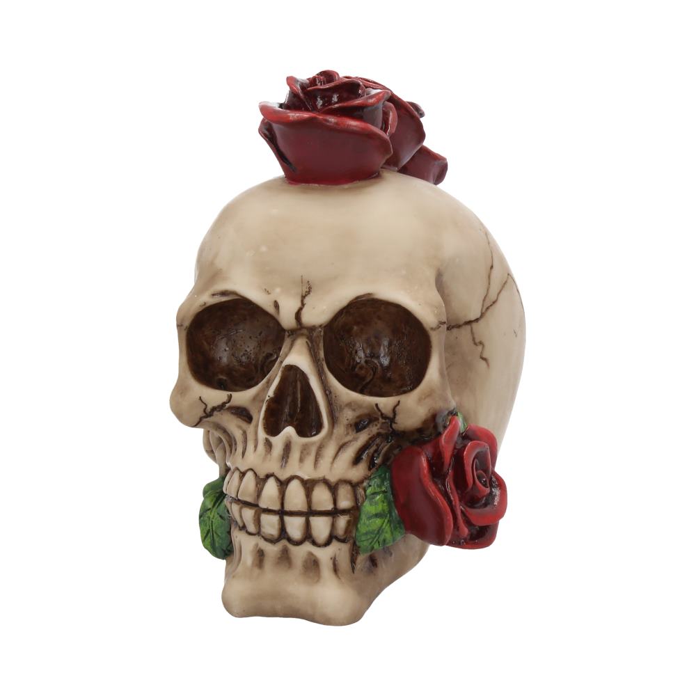 Rosehawk Skull 16cm: 3 - Figures & Collectables By Gift Moments