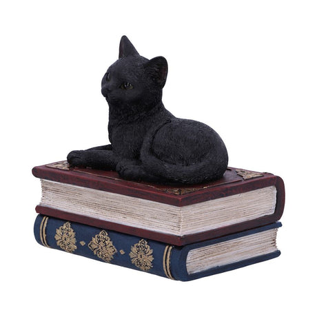 Salems Spells Witches Familiar Black Cat and Spell Book Box: 3 - Boxes By NN Designs