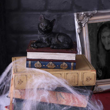 Salems Spells Witches Familiar Black Cat and Spell Book Box: 1 - Boxes By NN Designs