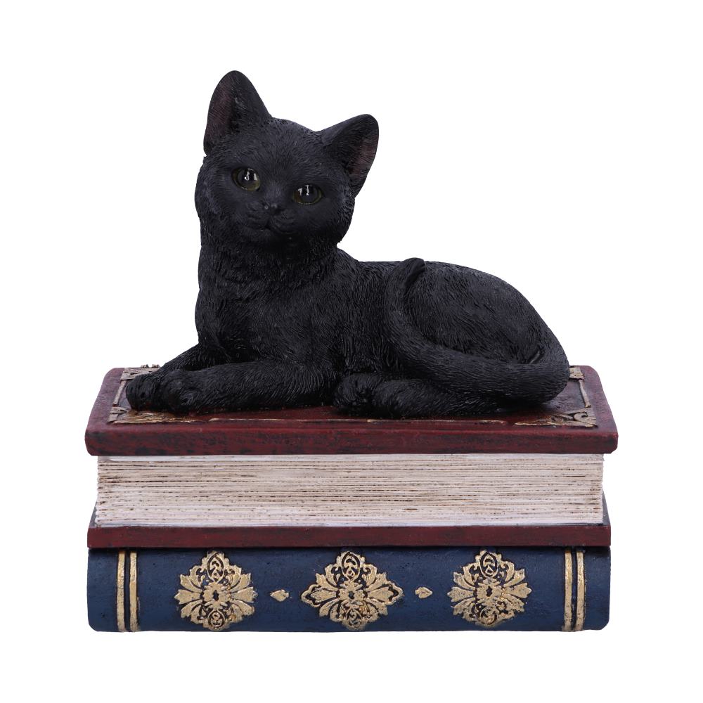 Salems Spells Witches Familiar Black Cat and Spell Book Box: 2 - Boxes By NN Designs