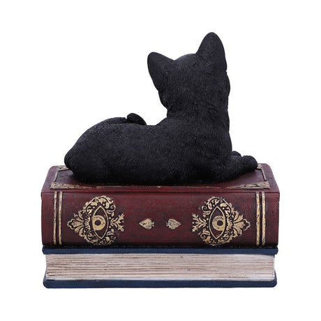 Salems Spells Witches Familiar Black Cat and Spell Book Box: 5 - Boxes By NN Designs