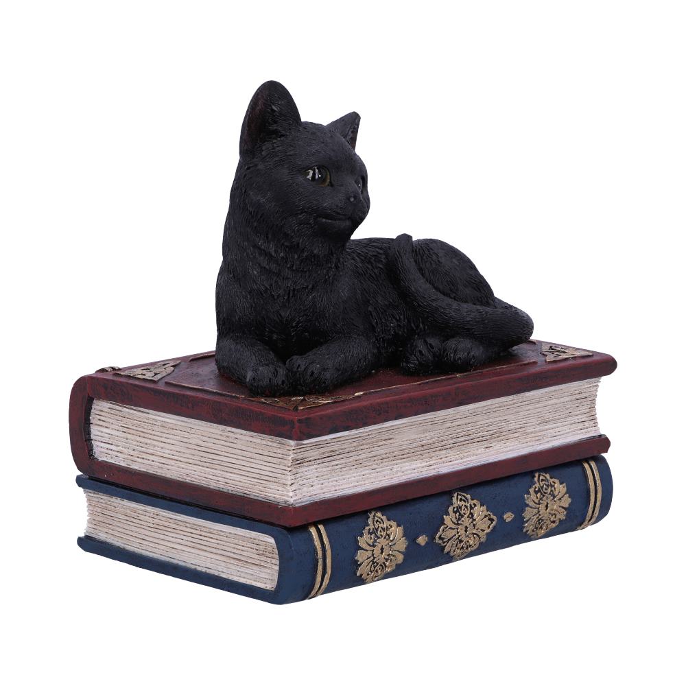 Salems Spells Witches Familiar Black Cat and Spell Book Box: 4 - Boxes By NN Designs