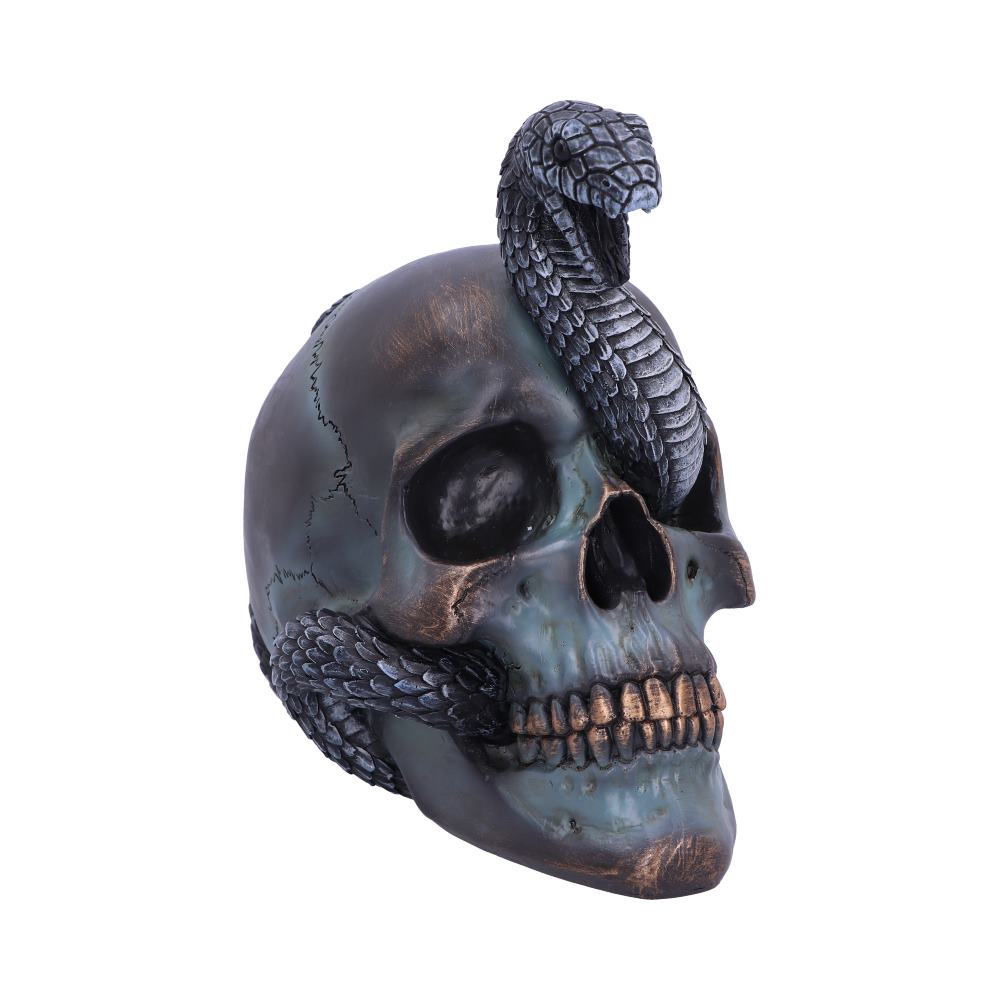 Serpentine Fate Gothic Snake Skull 19cm: 2 - Figures & Collectables By NN Designs