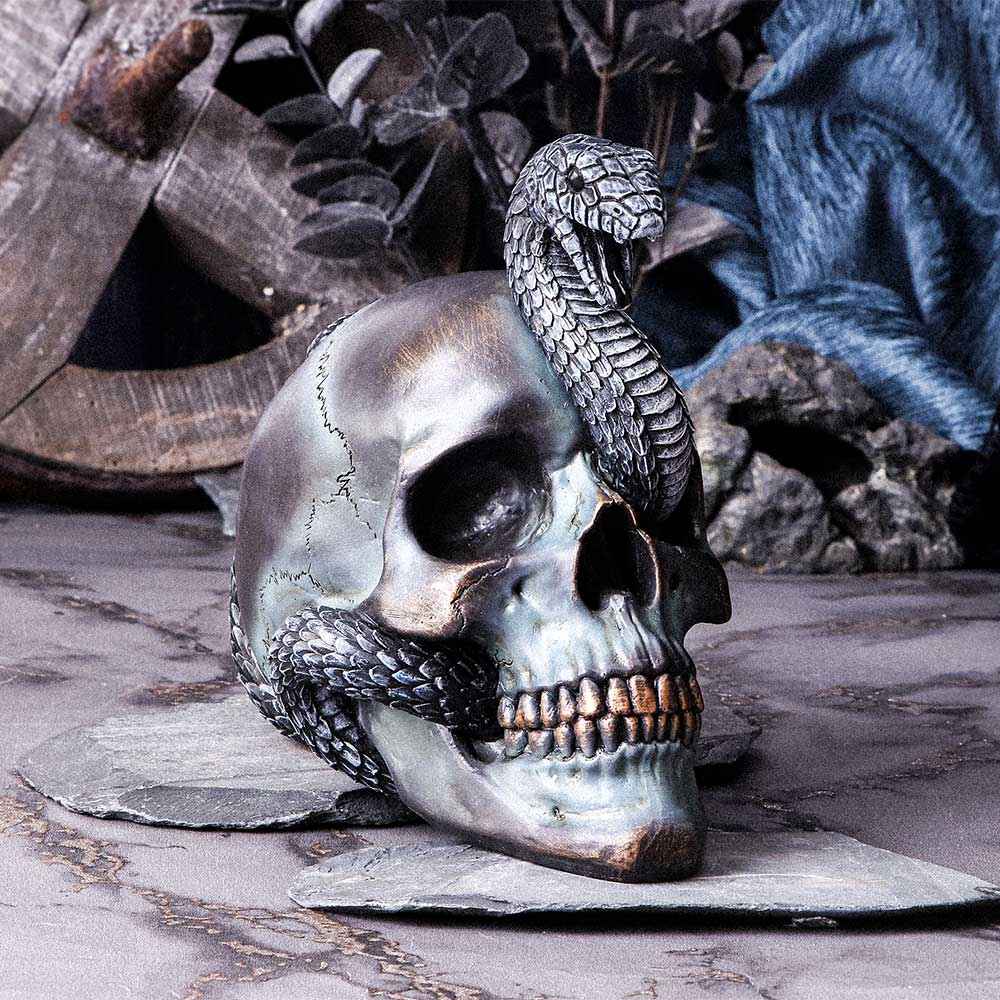 Serpentine Fate Gothic Snake Skull 19cm: 1 - Figures & Collectables By NN Designs