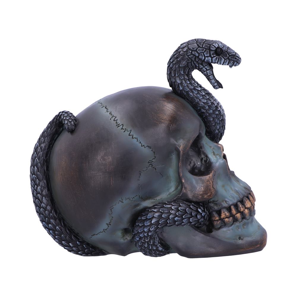 Serpentine Fate Gothic Snake Skull 19cm: 5 - Figures & Collectables By NN Designs