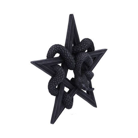 Serpent’s Worship Snake Wall Plaque 24cm: 4 Wall Hanging Sculptures By Gift Moments