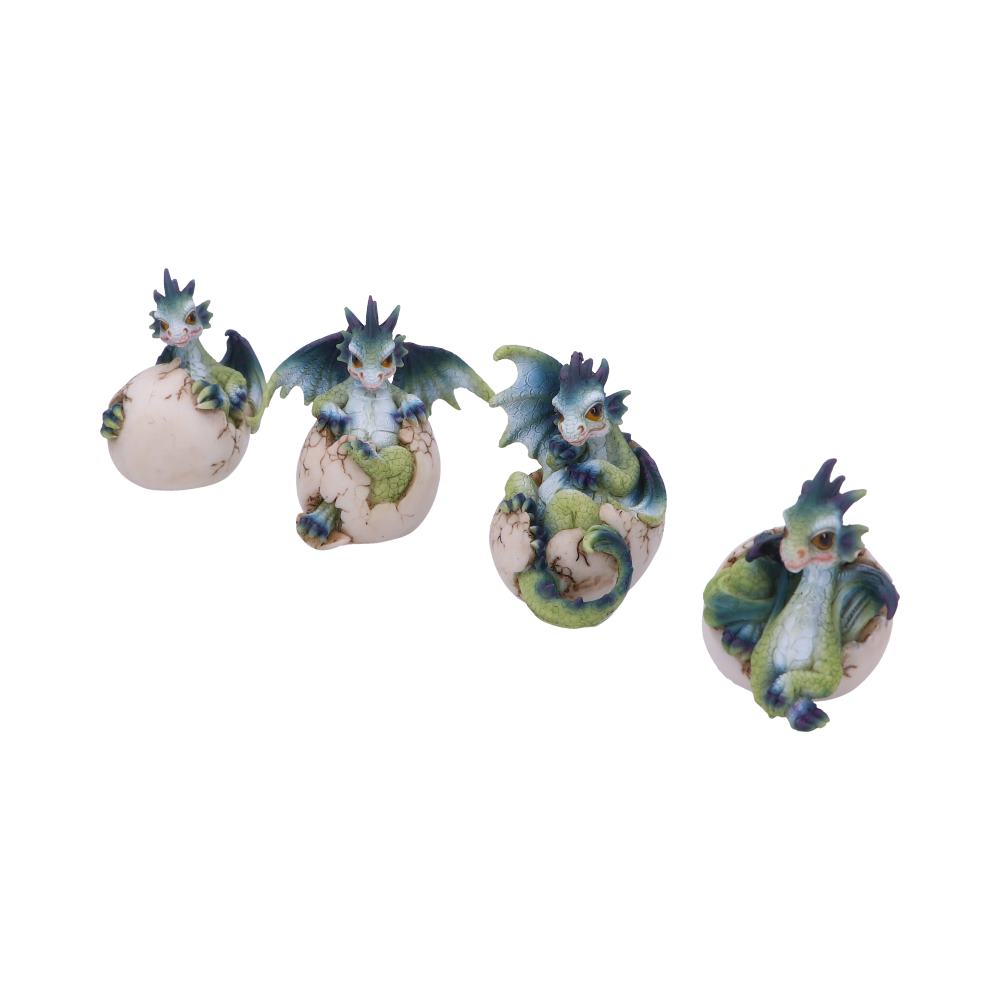 Set of Four Hatchlings Emergence Dragonling Hatching from Egg Figurine: 3 - Figures & Collectables By Gift Moments