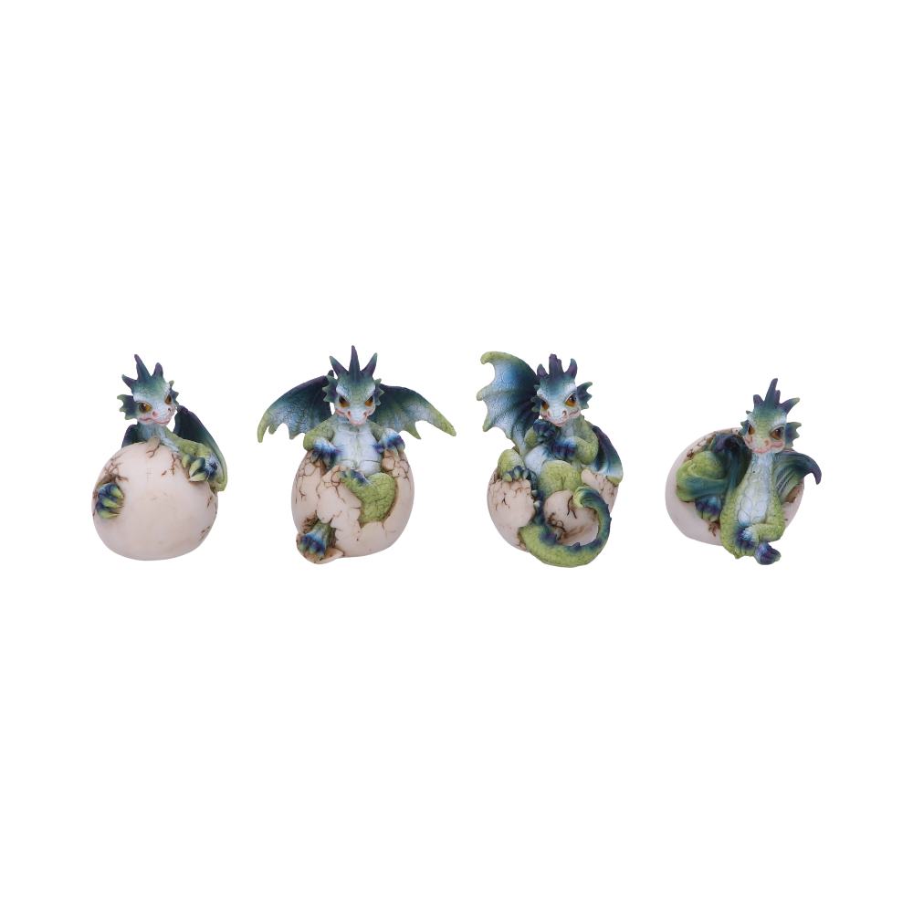 Set of Four Hatchlings Emergence Dragonling Hatching from Egg Figurine: 2 - Figures & Collectables By Gift Moments