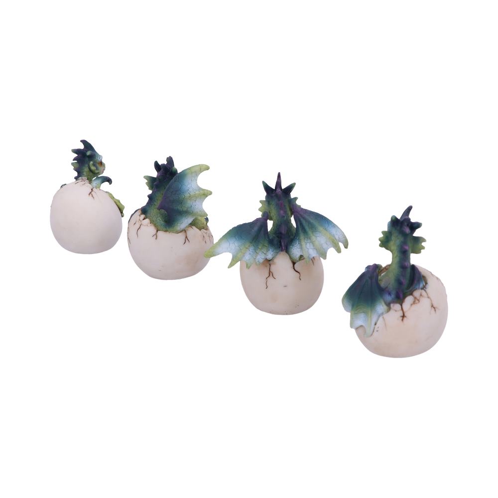 Set of Four Hatchlings Emergence Dragonling Hatching from Egg Figurine: 5 - Figures & Collectables By Gift Moments