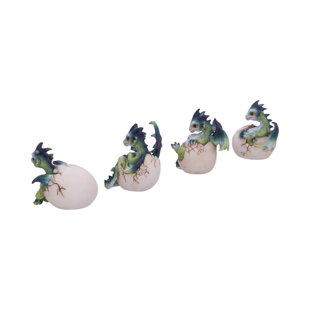 Set of Four Hatchlings Emergence Dragonling Hatching from Egg Figurine: 4 - Figures & Collectables By Gift Moments